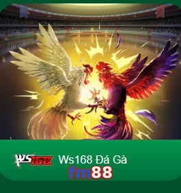 fm88